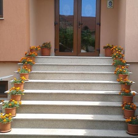 Pensiunea Damiris Băile Felix Extérieur photo