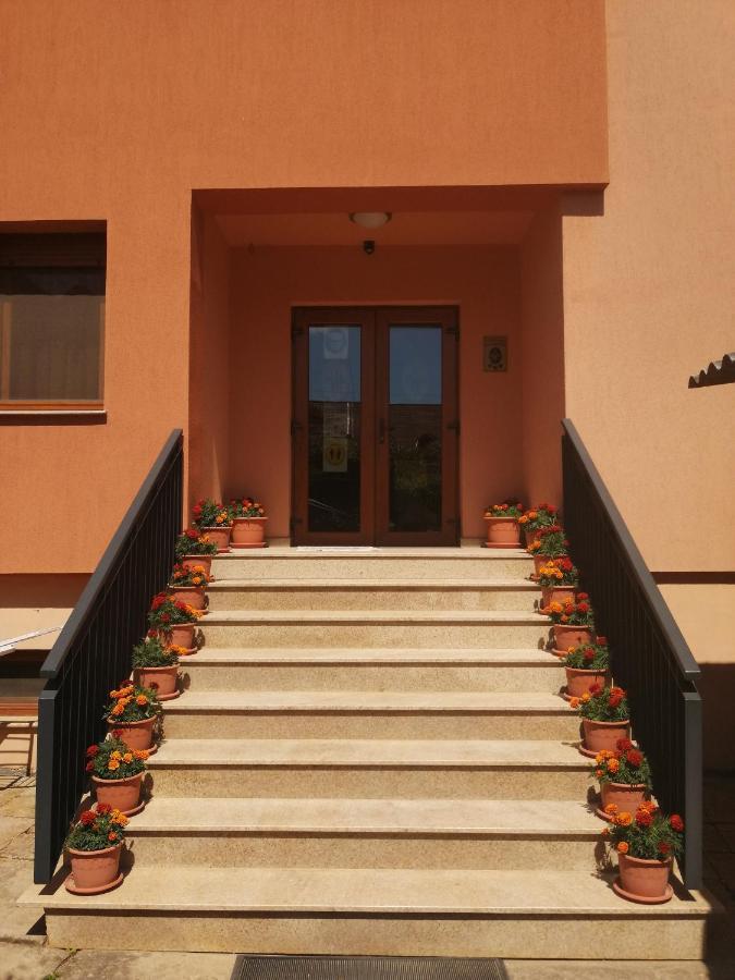 Pensiunea Damiris Băile Felix Extérieur photo