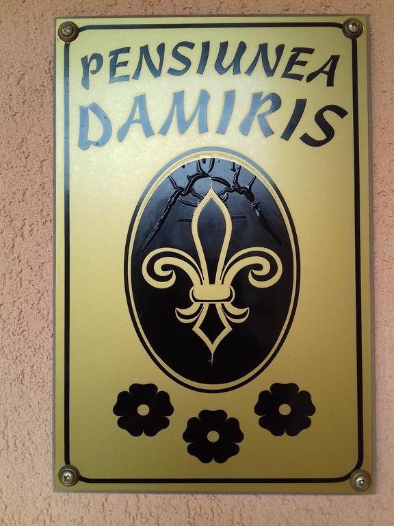 Pensiunea Damiris Băile Felix Extérieur photo