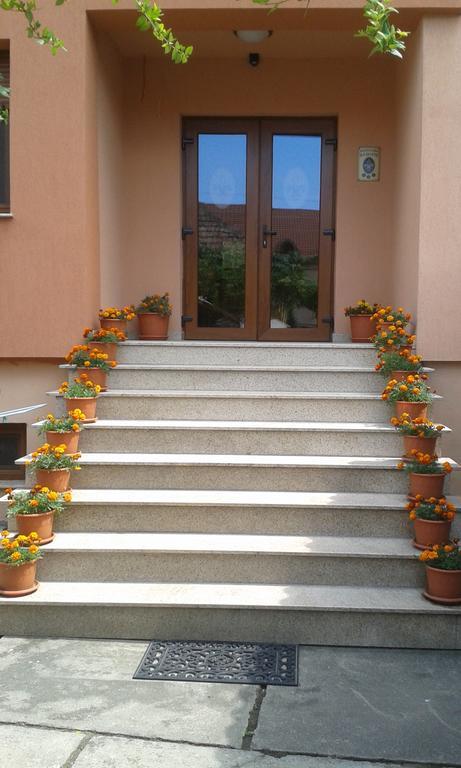 Pensiunea Damiris Băile Felix Extérieur photo
