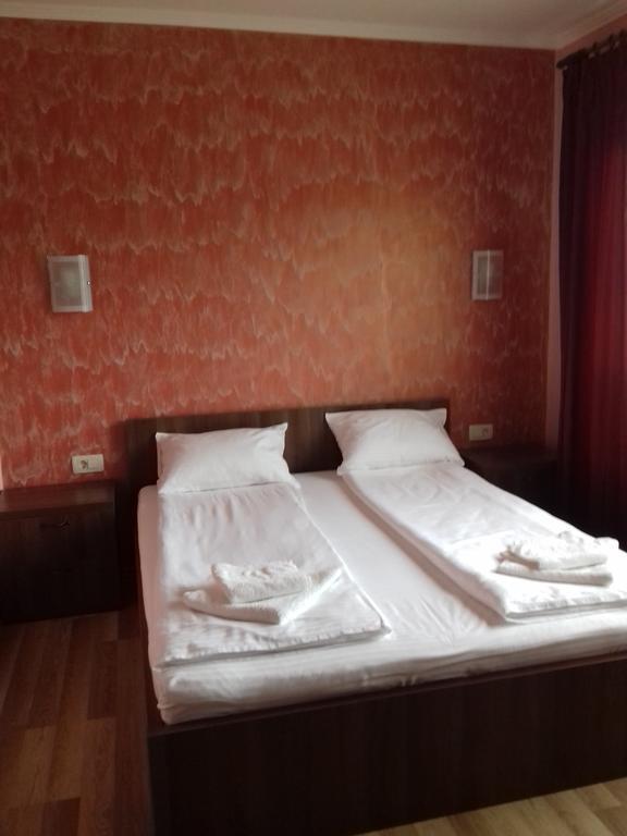 Pensiunea Damiris Băile Felix Extérieur photo